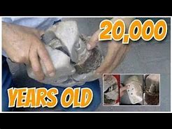 Image result for 20000 Year Old Transformer