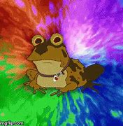 Image result for hypno toad frogs memes