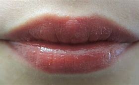 Image result for Burt's Bees Lip Shimmer Fig