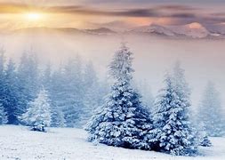 Image result for Screensaver Barrels in the Snow