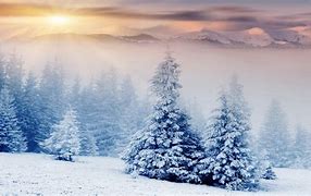 Image result for Strong Snow Screen