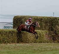 Image result for Ascot Jumps Racing