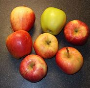 Image result for 7 Apple's