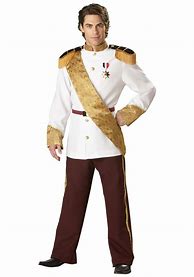 Image result for Prince Charming Costume