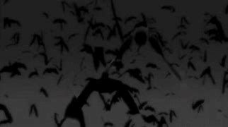 Image result for White Charcoal Bat Drawing