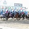 Image result for The Belmont in North Jersey