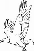 Image result for Eagle Outline PNG