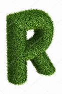 Image result for Letter R Photography