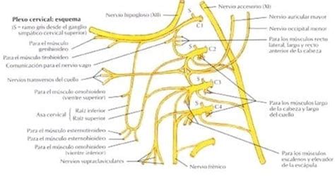Image result for Number Theory Module
