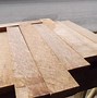 Image result for Kayu Maple