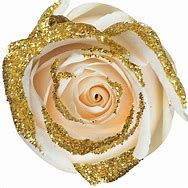 Image result for Pure White Rose Gold