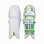 Image result for Cricket Body Protection