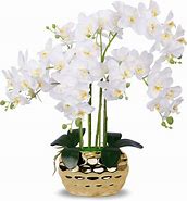 Image result for fake artificial orchid