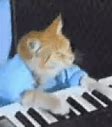 Image result for Piano Cat Meme