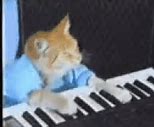 Image result for Meme Piano Songs Easy