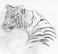 Image result for White Tiger Sketches