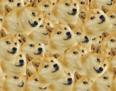 Image result for Much Doge Meme