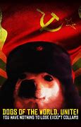 Image result for Comrade Doggo