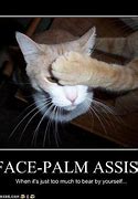 Image result for Palm Covering Face Meme
