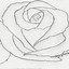Image result for Dibujos De Rosas a Lapiz