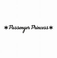 Image result for Passenger Princess Broken Laptop