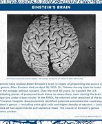 Image result for Memory Facts About the Brain
