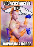 Image result for Denver Broncos Memes Funny