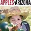Image result for Apple-Picking Arizona