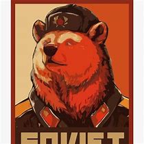 Image result for Comrade Bear