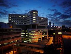 Image result for Rush Medical College