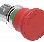 Image result for Stainless Turn Button