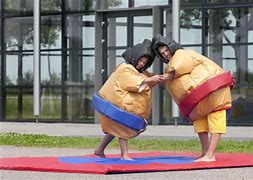 Image result for Kids Sumo Suit