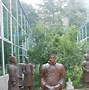 Image result for terracotta warriors