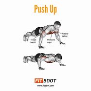 Image result for Push UPS Muscles Worked