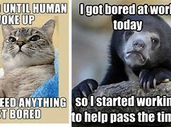 Image result for Bored People Memes