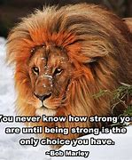 Image result for Lion Meme Strength