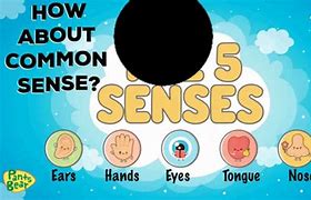 Image result for 5 Senses Picture Sort