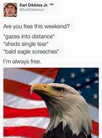 Image result for NY Eagle Memes