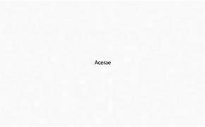 Image result for acerae