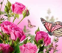 Image result for Summer Flowers and Butterflies