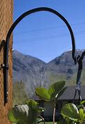 Image result for Plant Hooks Outdoor
