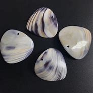 Image result for Quahog Clam Beads