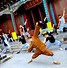 Image result for Different Kung Fu Styles