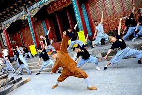 Image result for Differ ENT Kung Fu Styles