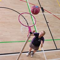 Image result for Pink Netball Post