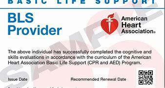 Image result for American Heart Association CPR Online
