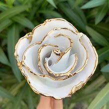 Image result for Gold Dipped Roses