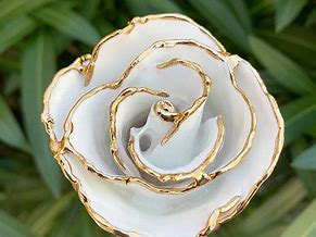 Image result for Roses Covered in Gold