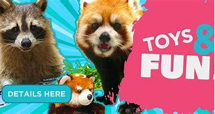 Image result for Toronto Zoo Sign