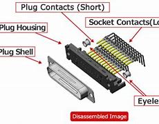 Image result for Connector Anatomy